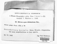 Image Associated With the Occurence